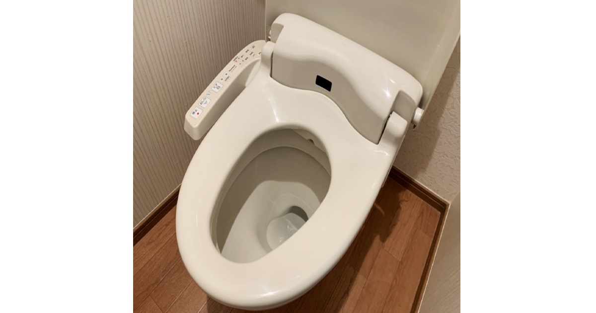 A deep dive into Japanese bathroom culture, showcasing a traditional wooden bathtub (ofuro) and a modern high-tech toilet, reflecting the Japanese mind's obsession with cleanliness and relaxation.
